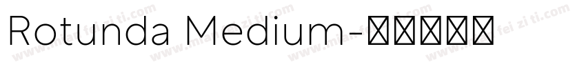 Rotunda Medium字体转换